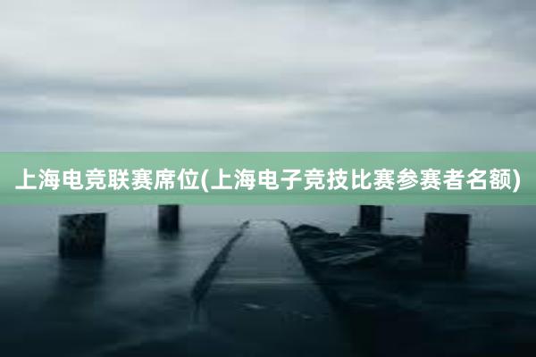 上海电竞联赛席位(上海电子竞技比赛参赛者名额)