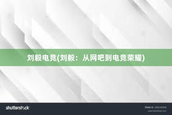 刘毅电竞(刘毅：从网吧到电竞荣耀)