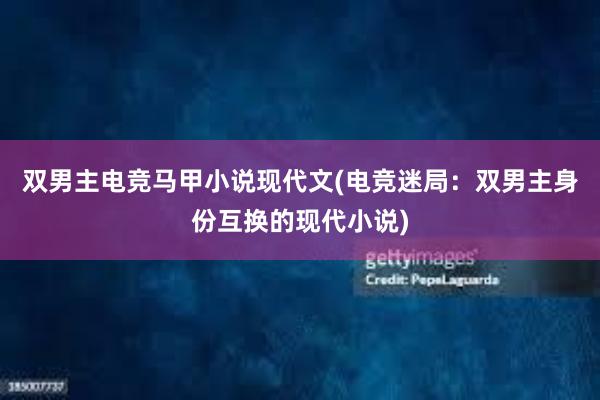 双男主电竞马甲小说现代文(电竞迷局：双男主身份互换的现代小说)