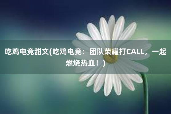 吃鸡电竞甜文(吃鸡电竞：团队荣耀打CALL，一起燃烧热血！)