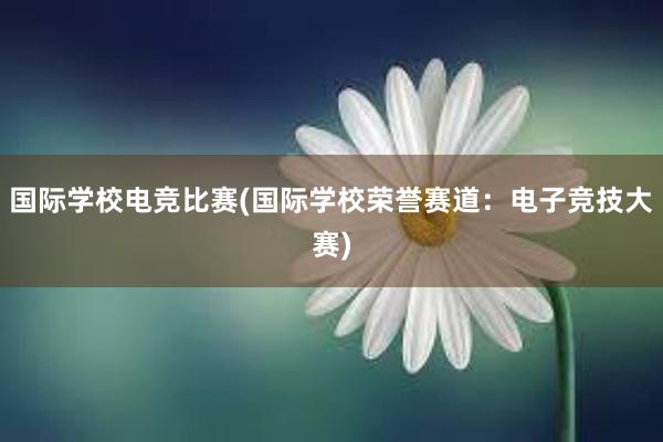 国际学校电竞比赛(国际学校荣誉赛道：电子竞技大赛)