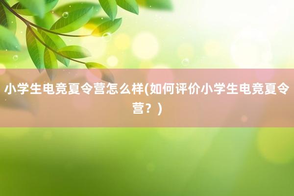 小学生电竞夏令营怎么样(如何评价小学生电竞夏令营？)