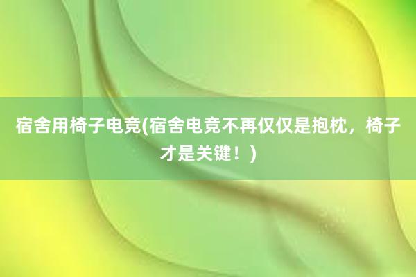 宿舍用椅子电竞(宿舍电竞不再仅仅是抱枕，椅子才是关键！)