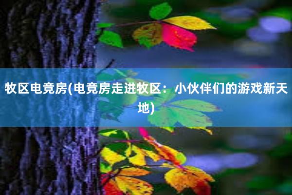 牧区电竞房(电竞房走进牧区：小伙伴们的游戏新天地)