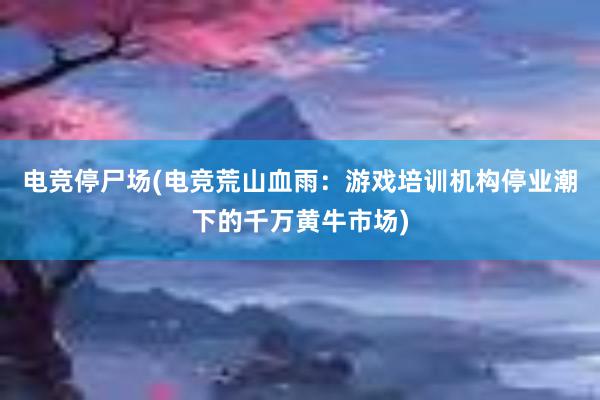 电竞停尸场(电竞荒山血雨：游戏培训机构停业潮下的千万黄牛市场)