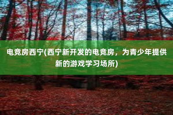 电竞房西宁(西宁新开发的电竞房，为青少年提供新的游戏学习场所)