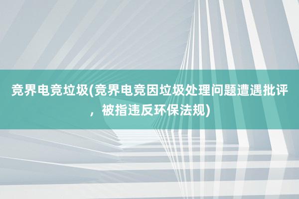 竞界电竞垃圾(竞界电竞因垃圾处理问题遭遇批评，被指违反环保法规)