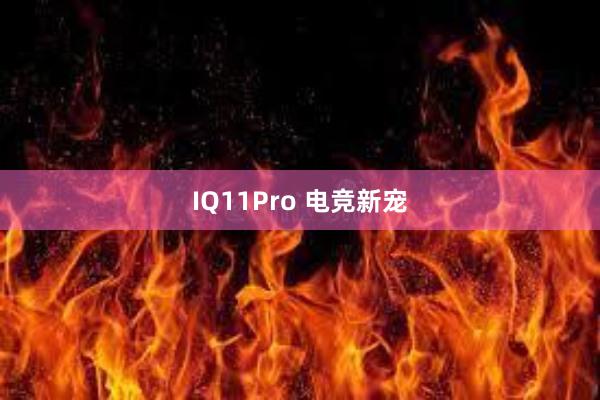 IQ11Pro 电竞新宠