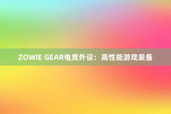 ZOWIE GEAR电竞外设：高性能游戏装备