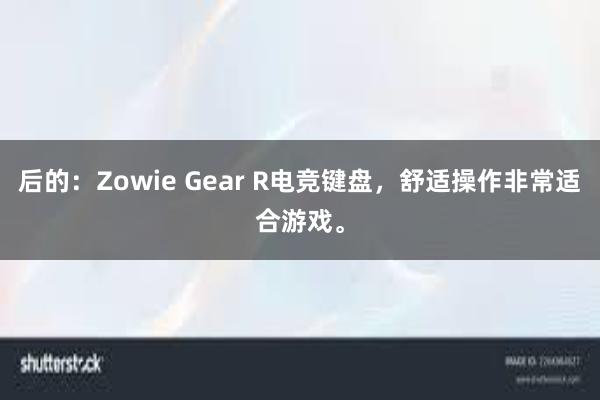 后的：Zowie Gear R电竞键盘，舒适操作非常适合游戏。