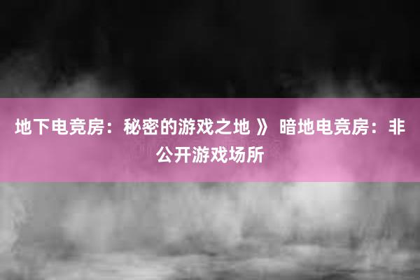 地下电竞房：秘密的游戏之地 》 暗地电竞房：非公开游戏场所