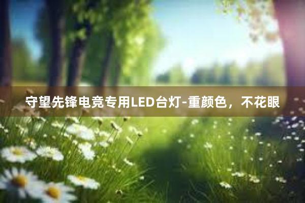 守望先锋电竞专用LED台灯-重颜色，不花眼