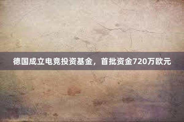 德国成立电竞投资基金，首批资金720万欧元