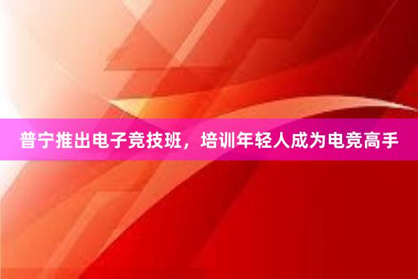 普宁推出电子竞技班，培训年轻人成为电竞高手