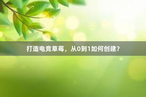 打造电竞草莓，从0到1如何创建？